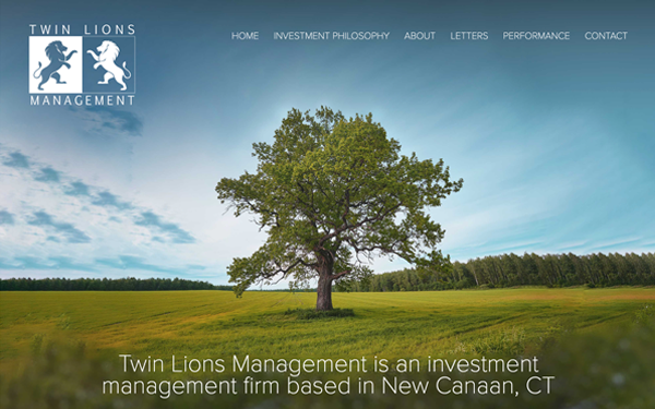 Web Design and Development for Twin Lions